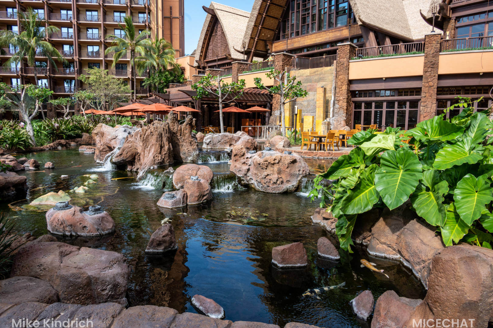Aulani, Island Magic: Aulani Through the MiceShots Lens