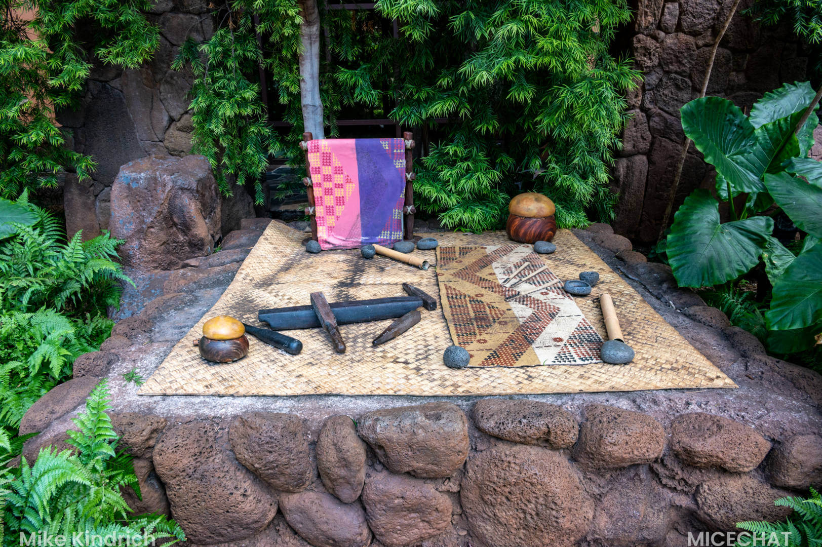 Aulani, Island Magic: Aulani Through the MiceShots Lens