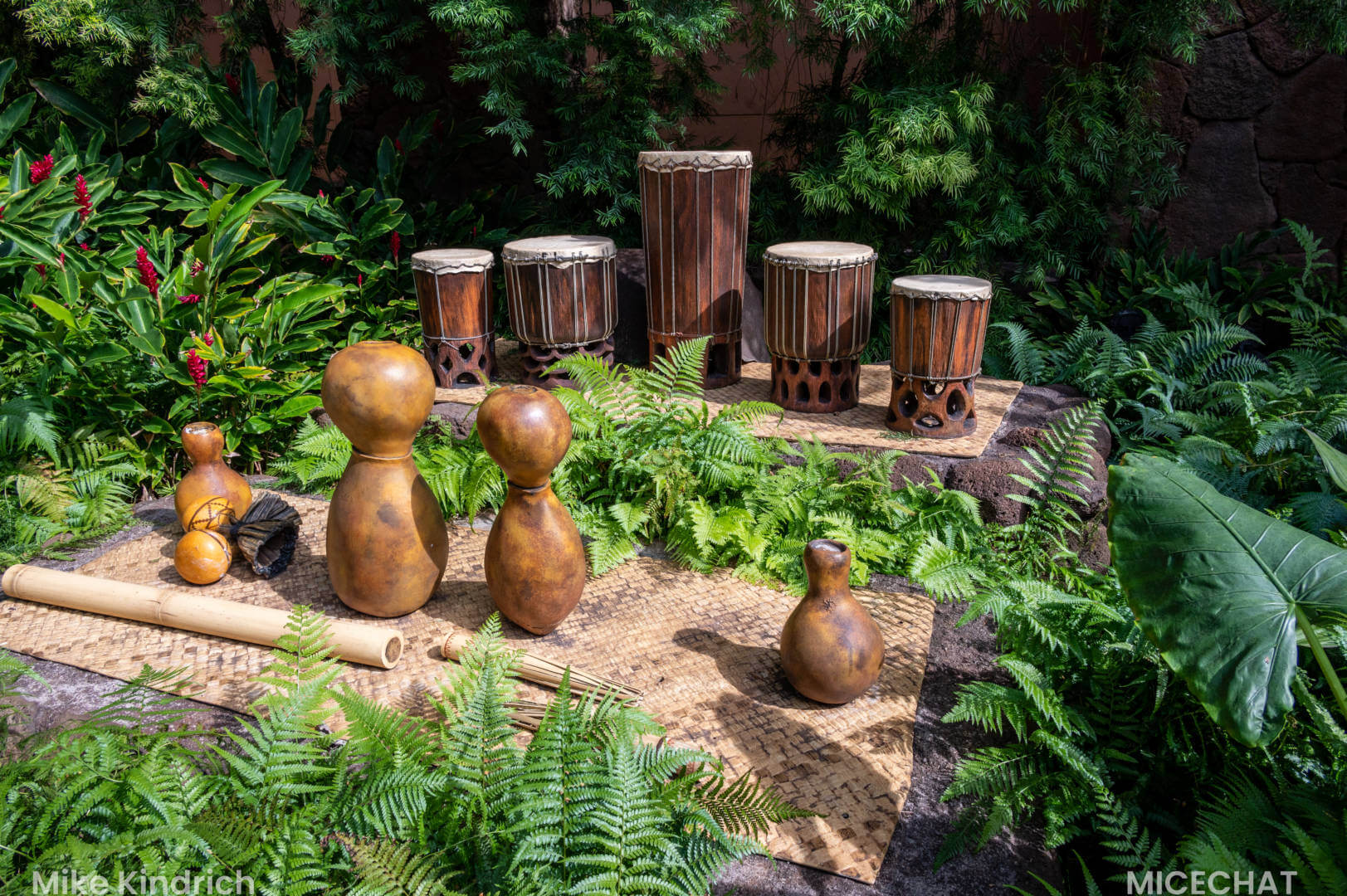 Aulani, Island Magic: Aulani Through the MiceShots Lens