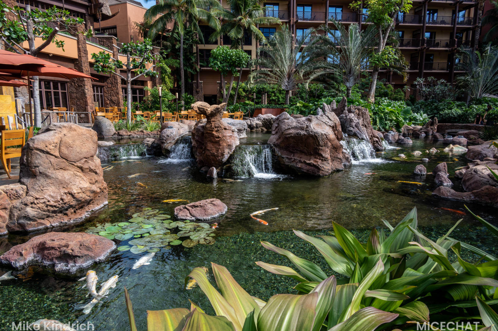 Aulani, Island Magic: Aulani Through the MiceShots Lens