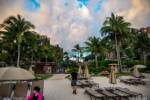 Aulani beach toward resort