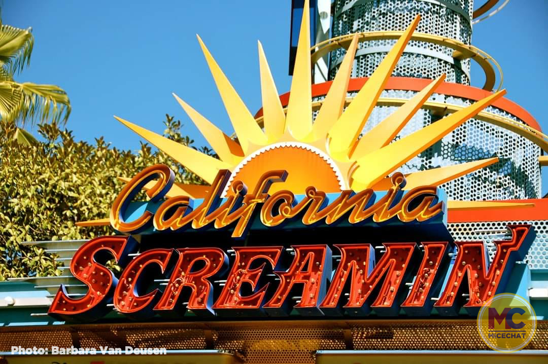 , Disneyland Update – Survey Says & Jungle News!