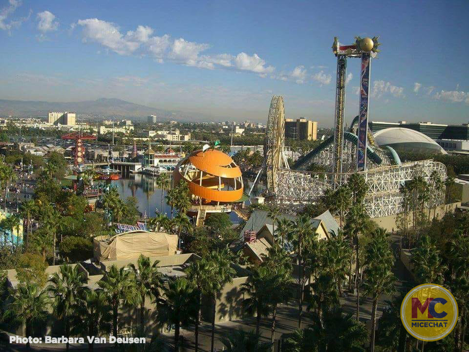 , Disneyland Update – Survey Says & Jungle News!
