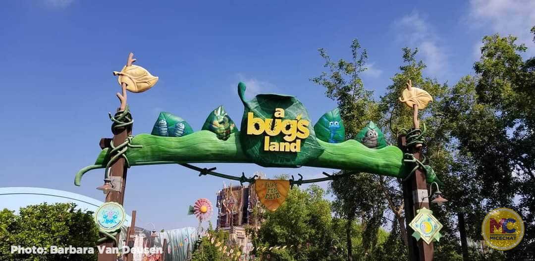 , Disneyland Update – Survey Says & Jungle News!