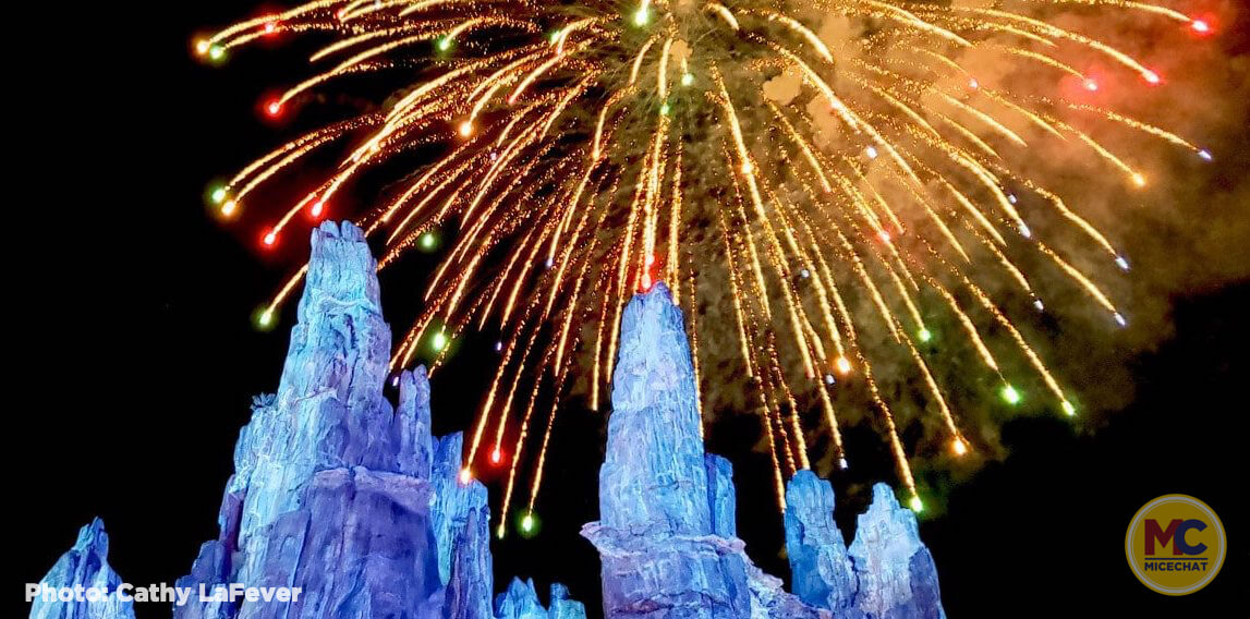 , Disneyland Update – All Good Things Must Come To An End