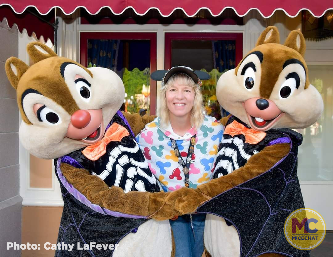 , Disneyland Update – All Good Things Must Come To An End