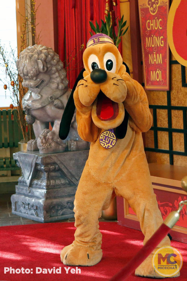 , Disneyland Update: Ticket Access, Potential Pricing, and New Features Ahead!