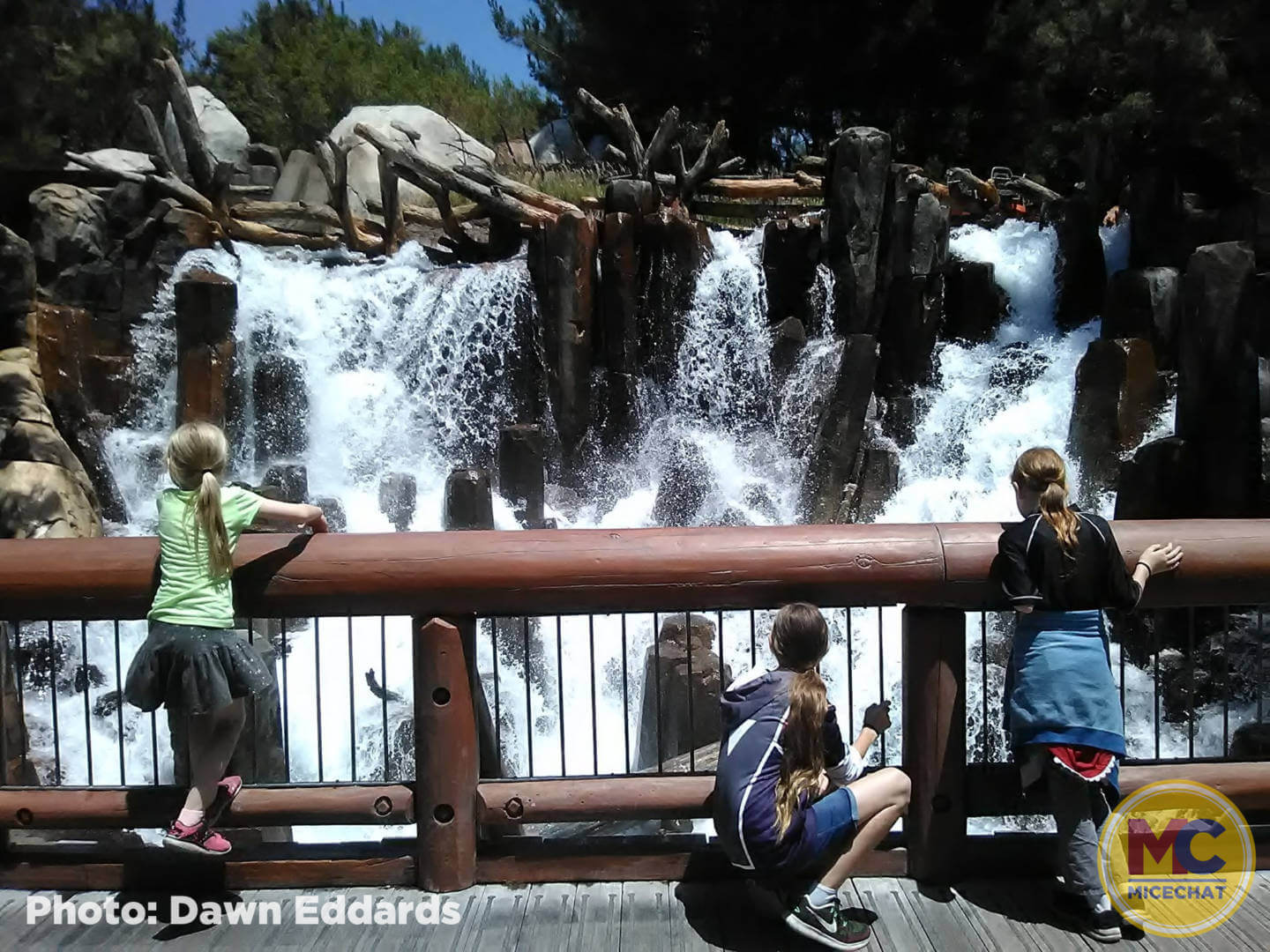 , Disneyland Update – All Good Things Must Come To An End