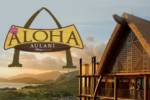 Disney Aulani Aloha Banner