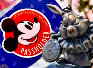 Disneyland Update – All Good Things Must Come To An End