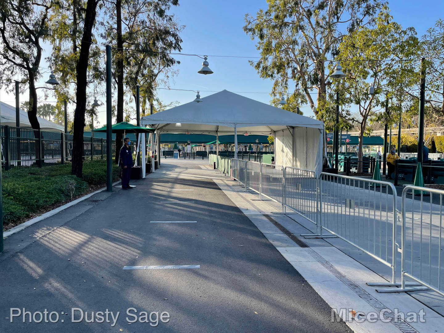 , Disneyland Update – On Your Mark, Get Set, Go!