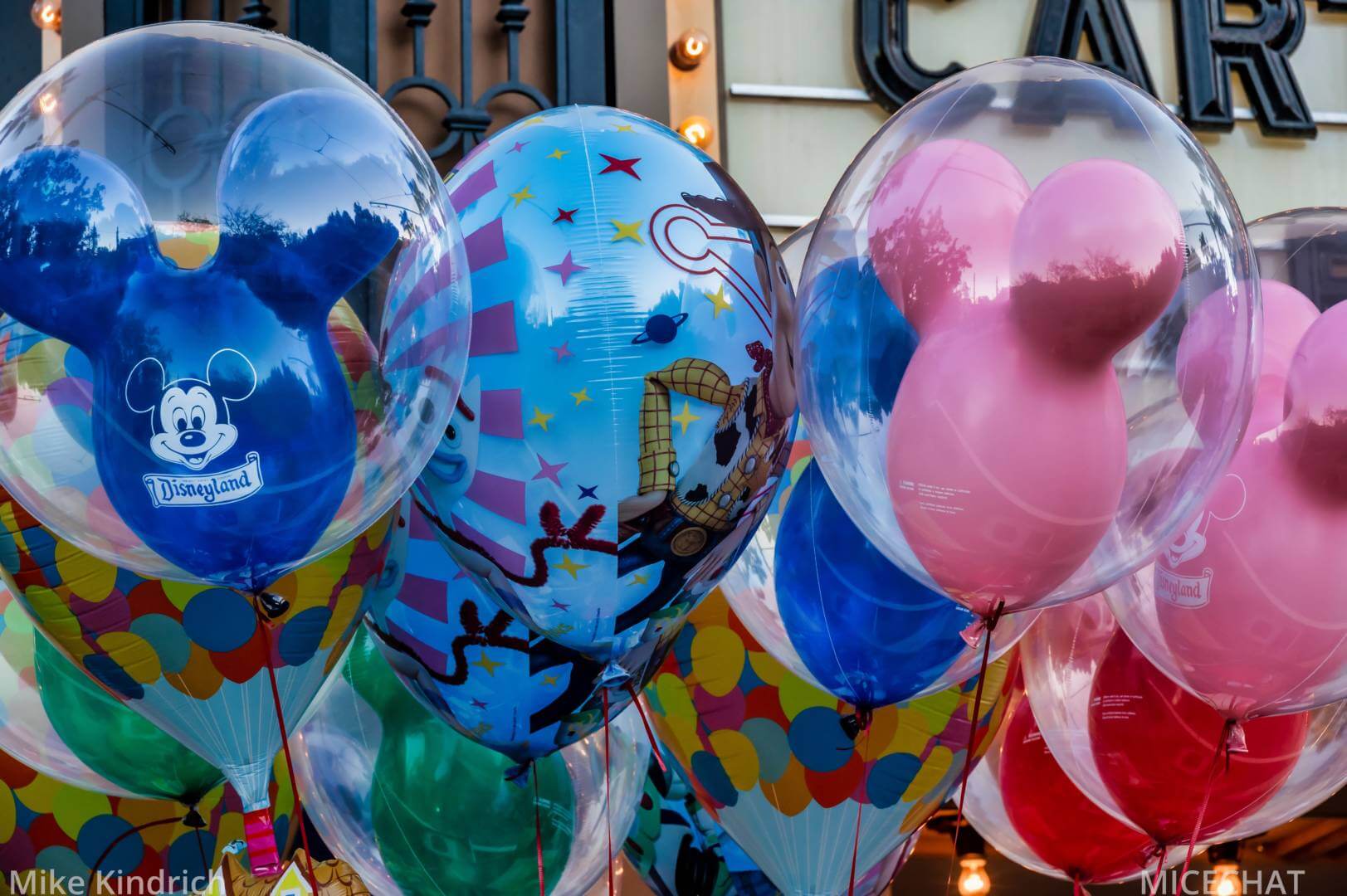 , Disneyland Update – Survey Says & Jungle News!