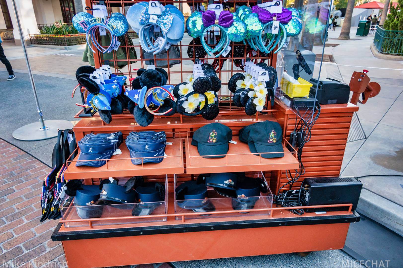 , Disneyland Update – Survey Says & Jungle News!