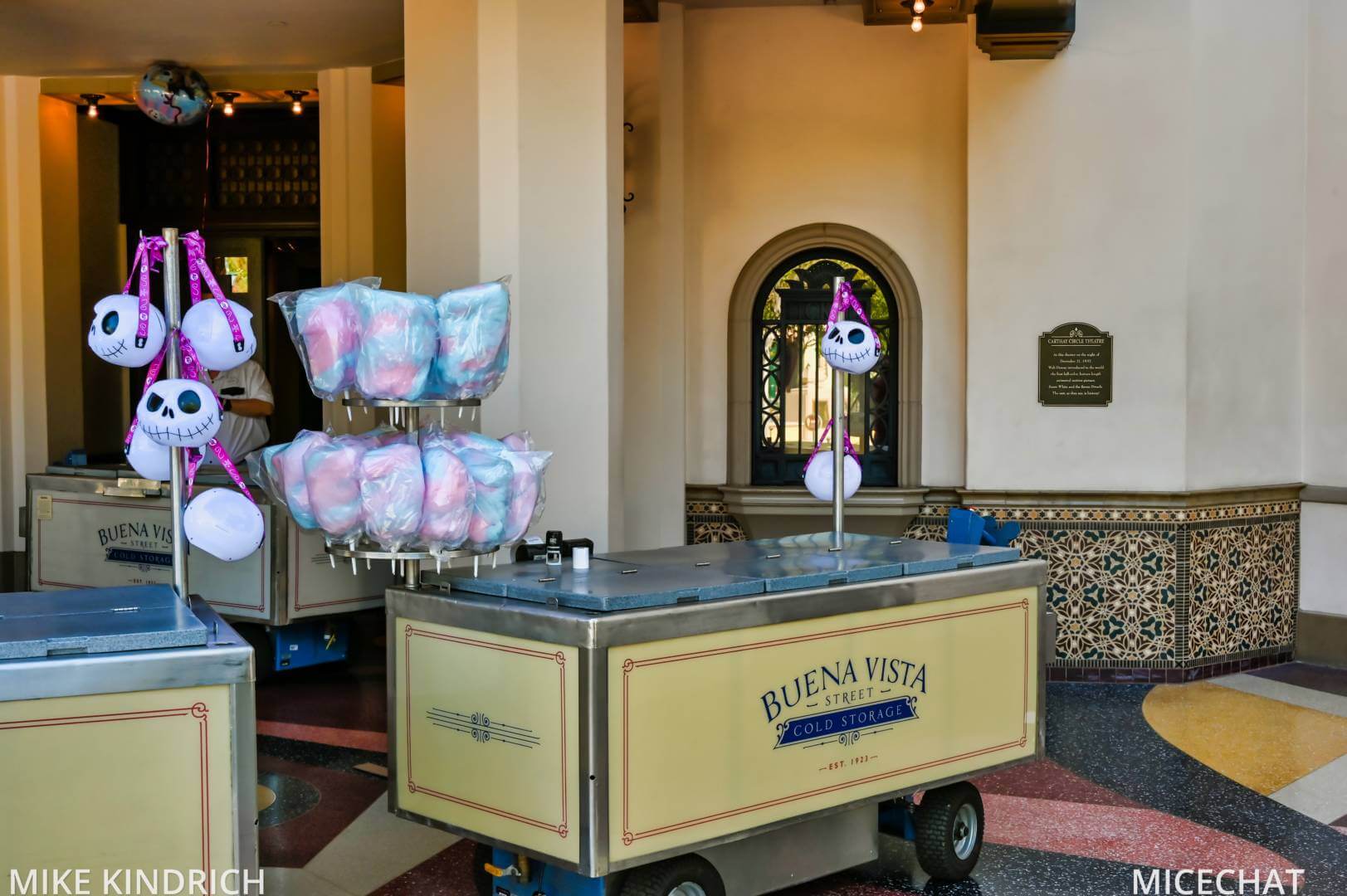 , Disneyland Update – Survey Says & Jungle News!