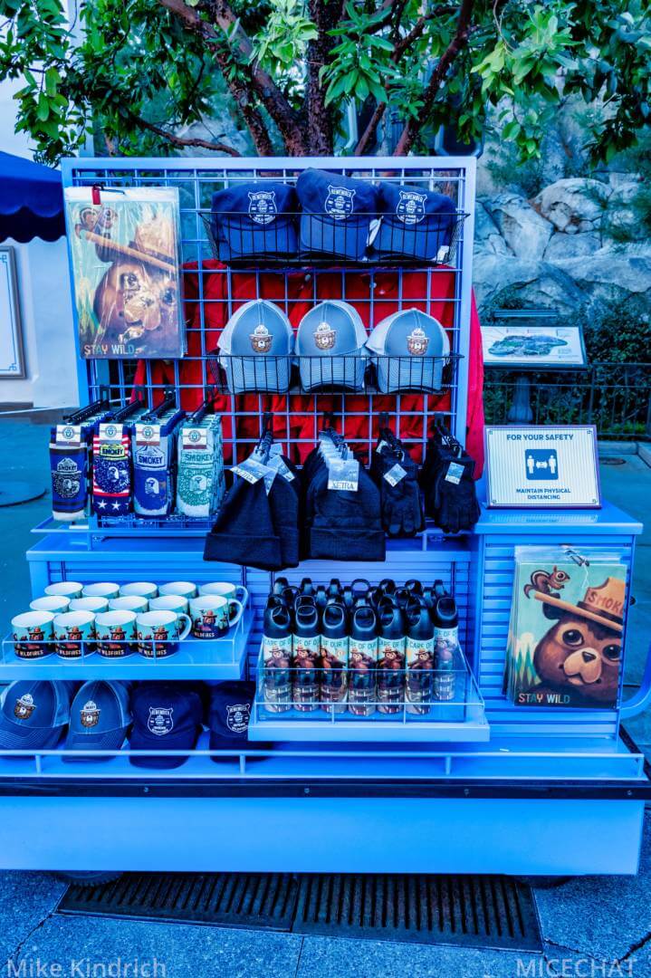 , Disneyland Update – Survey Says & Jungle News!