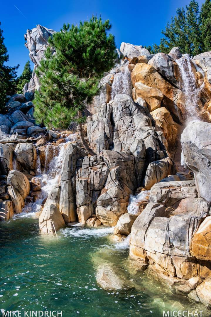 , Disneyland Update – Survey Says & Jungle News!