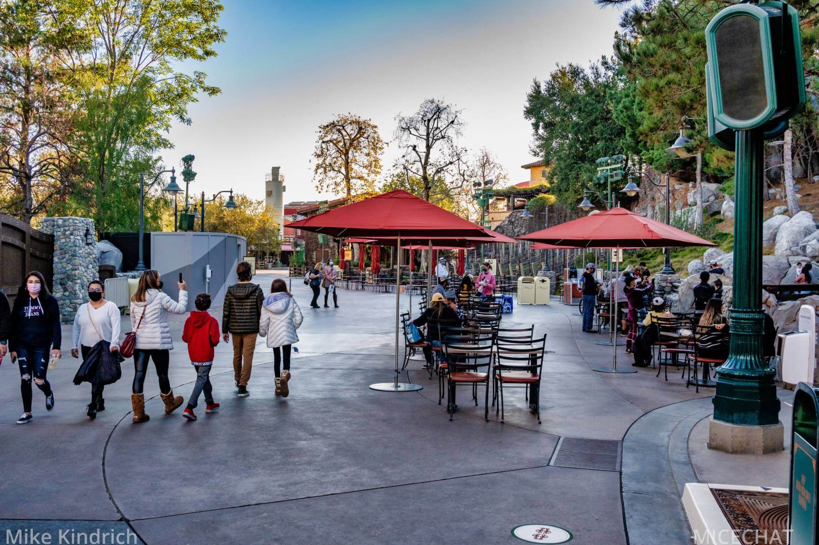 , Disneyland Update – Survey Says & Jungle News!