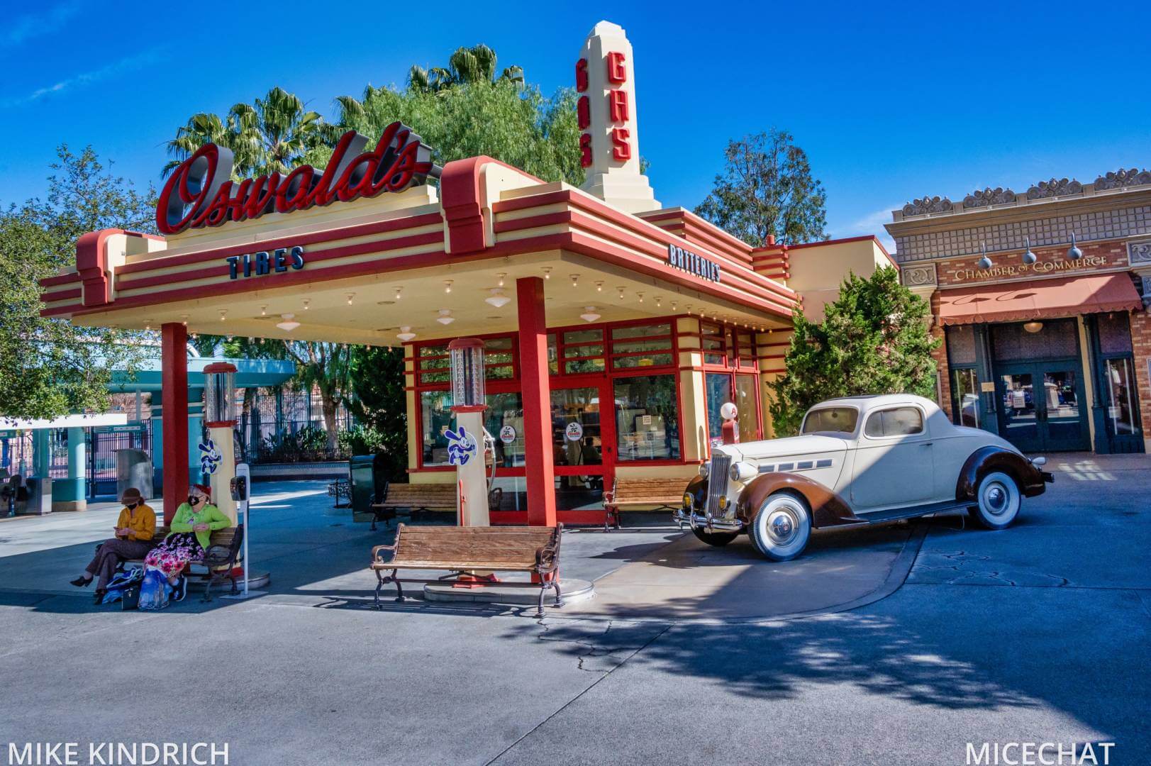 , Disneyland Update – Survey Says & Jungle News!