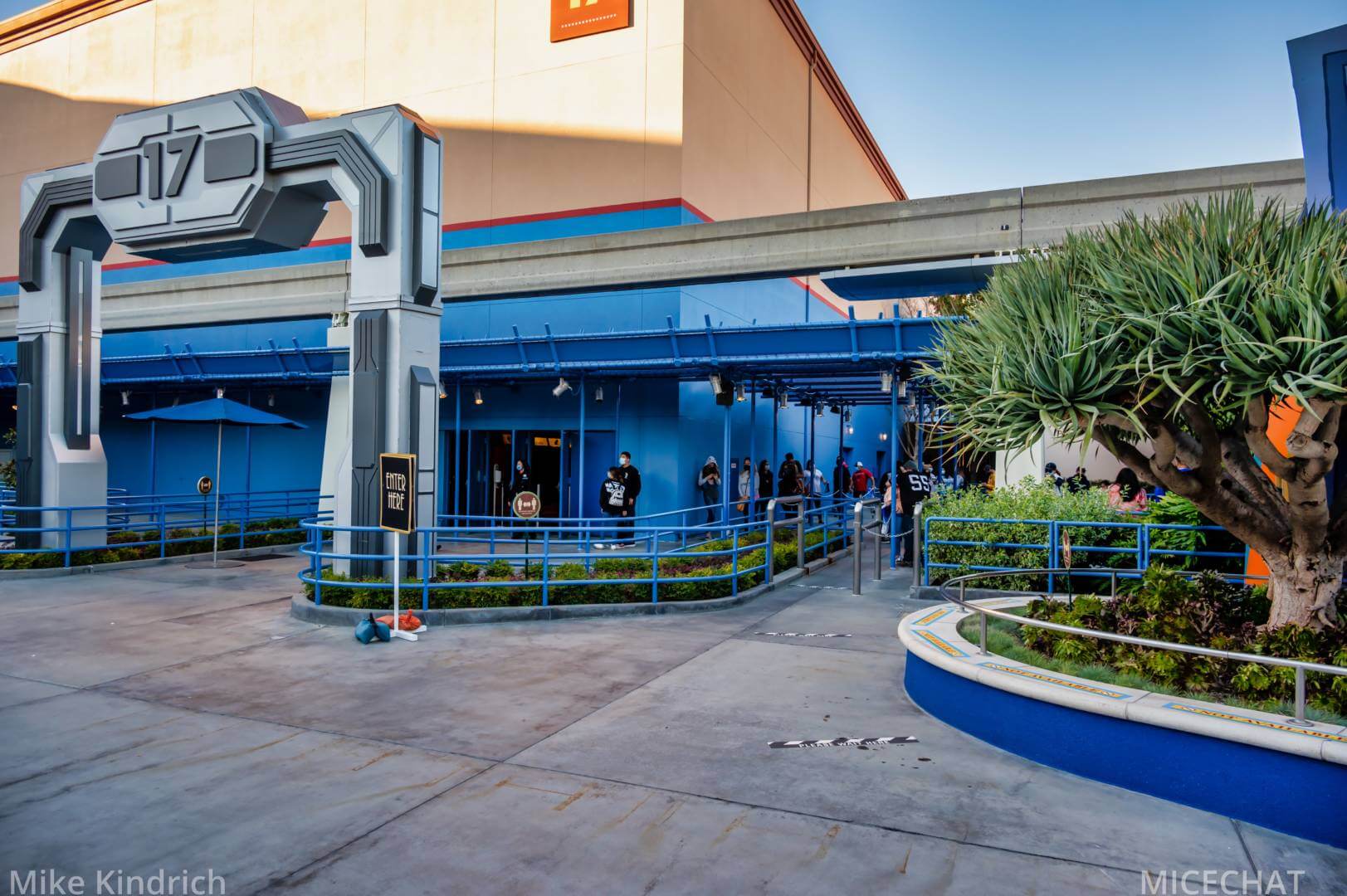 , Disneyland Update – Survey Says & Jungle News!