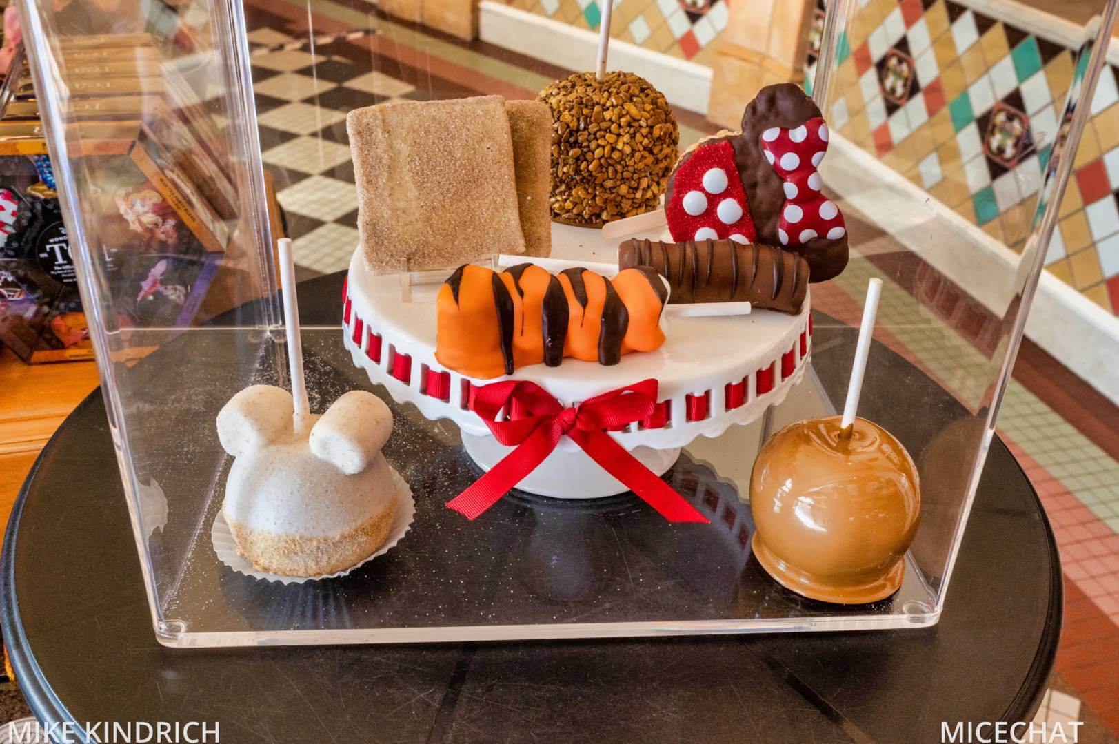, Disneyland Update – Survey Says & Jungle News!