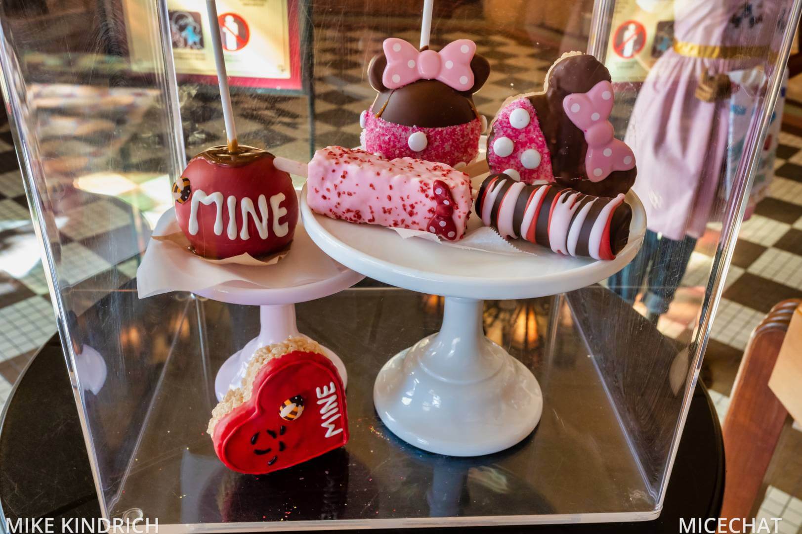 , Disneyland Update – Survey Says & Jungle News!