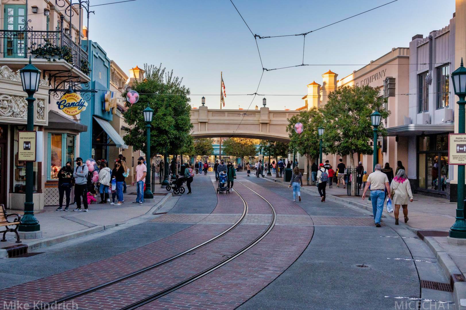 , Disneyland Update – Survey Says & Jungle News!