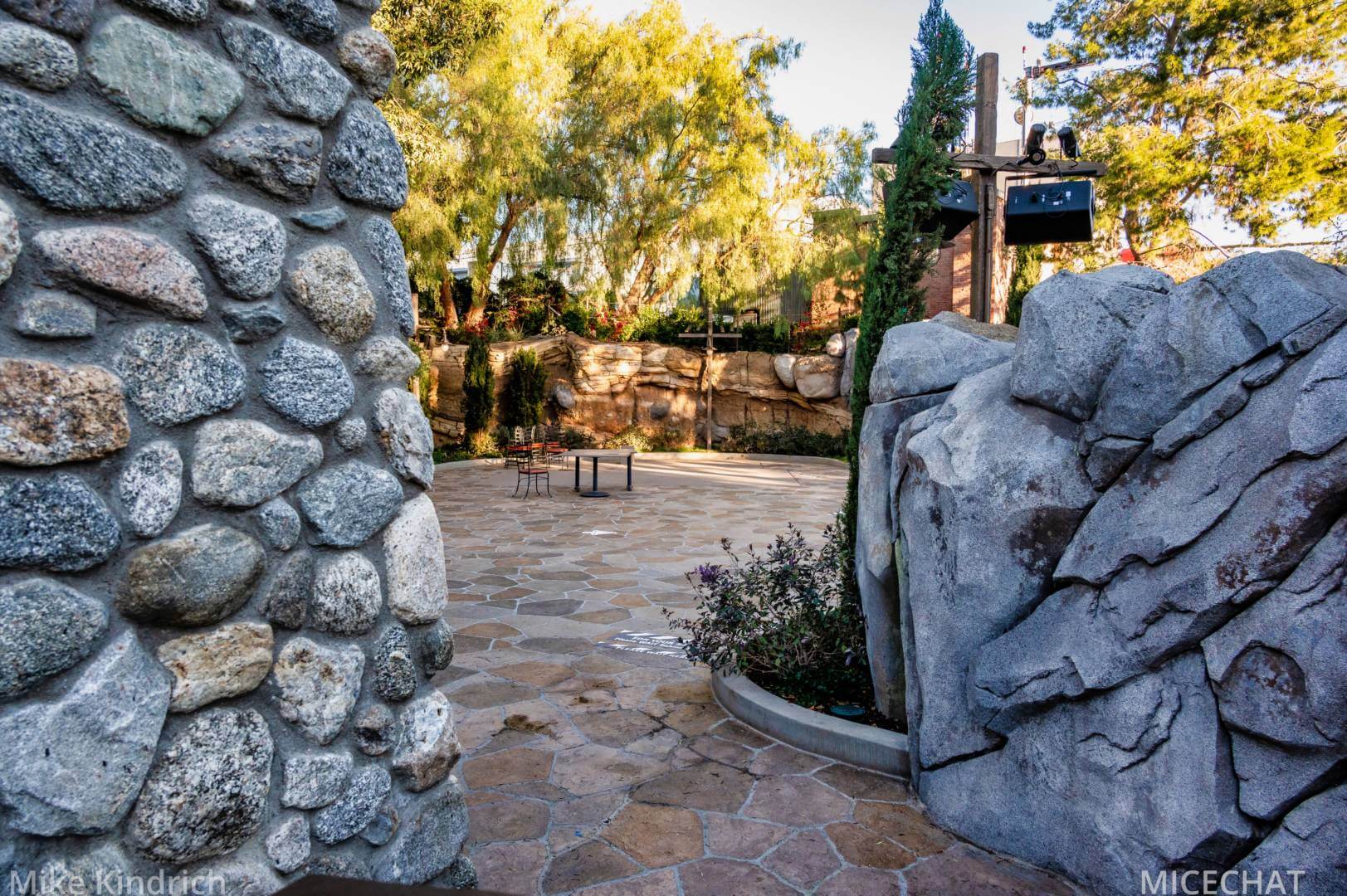 , Disneyland Update – Survey Says & Jungle News!