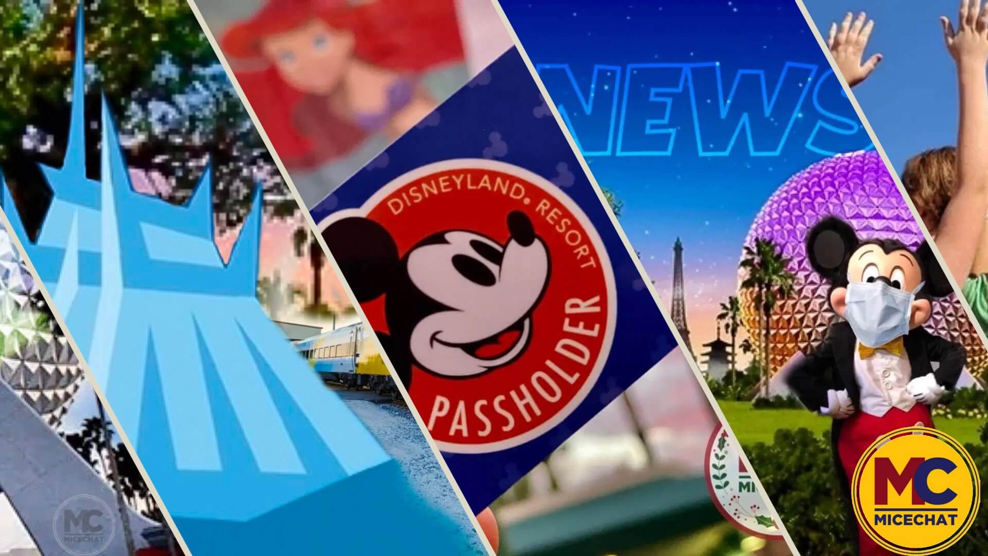 Disney Parks News – A Roller Coaster of a Week!