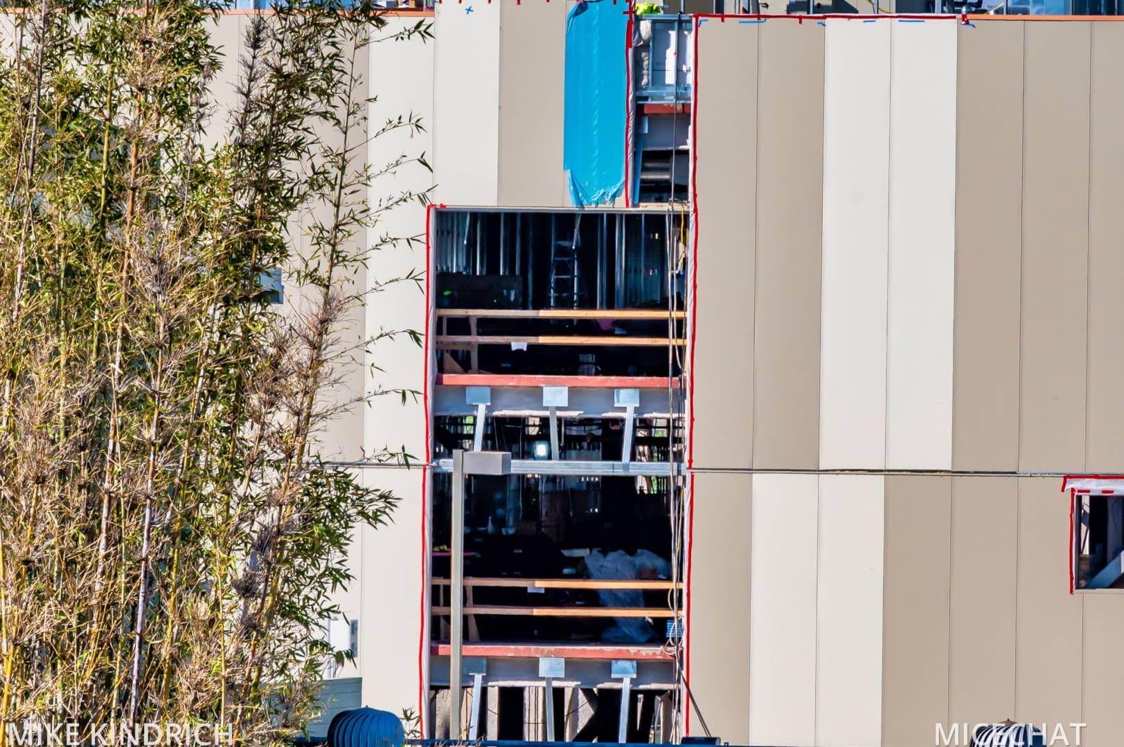, Disneyland Update – Survey Says & Jungle News!
