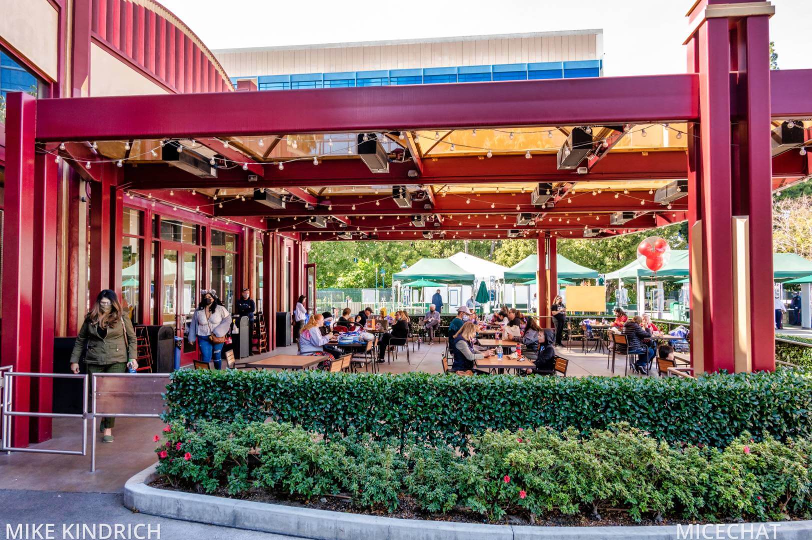 , Disneyland Update – Survey Says & Jungle News!