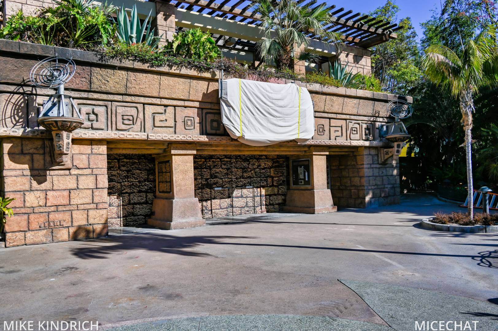 , Disneyland Update – Survey Says & Jungle News!