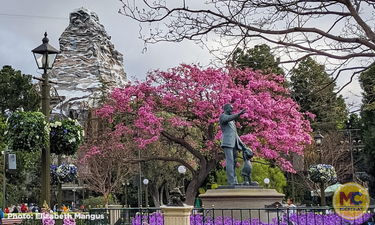 , Disneyland Update – On Your Mark, Get Set, Go!