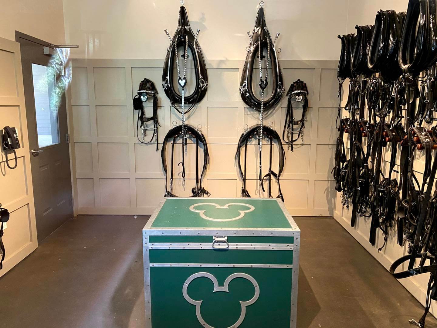 , Horsin’ Around at Walt Disney World’s Tri-Circle-D Ranch
