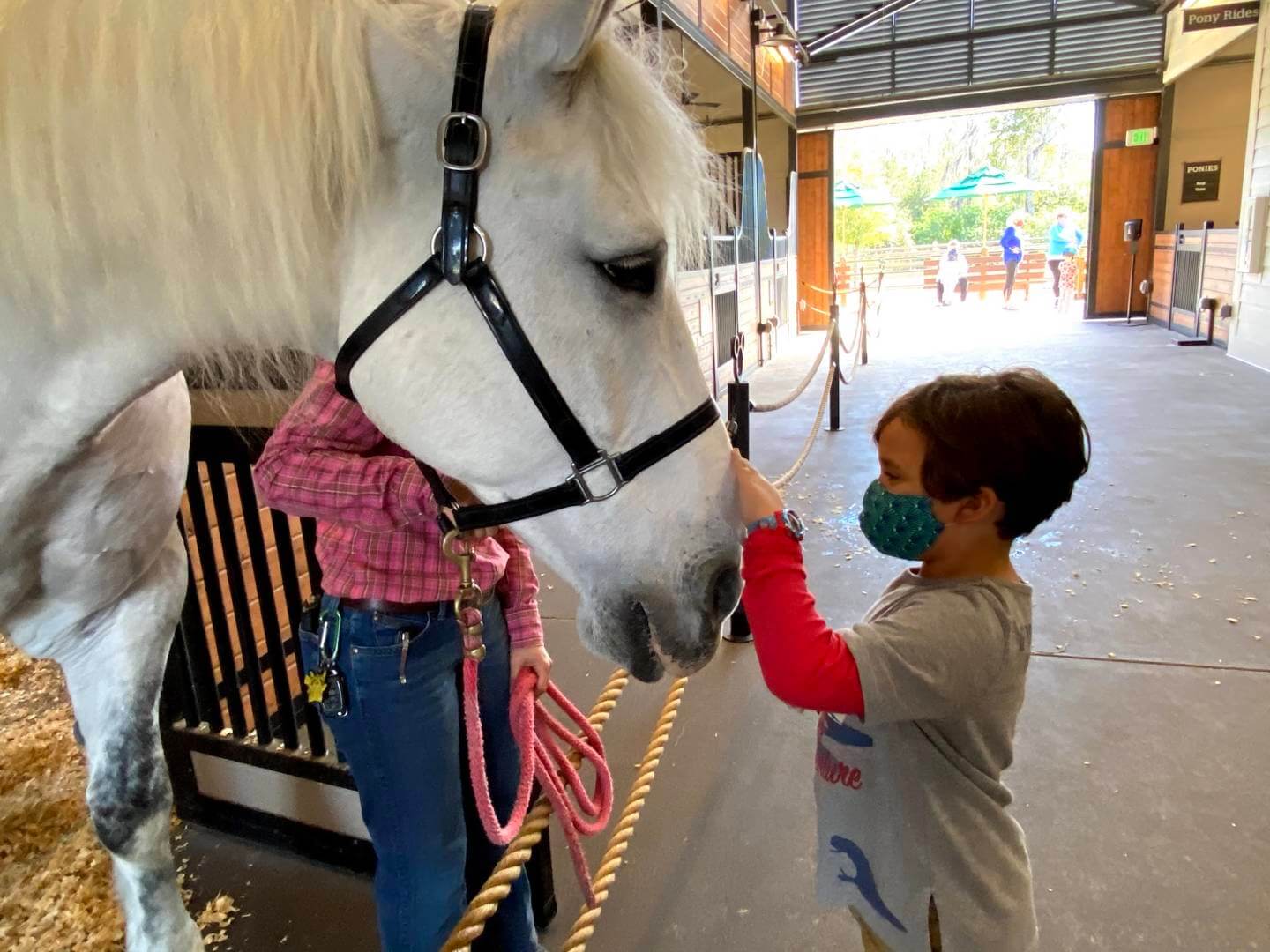 , Horsin’ Around at Walt Disney World’s Tri-Circle-D Ranch