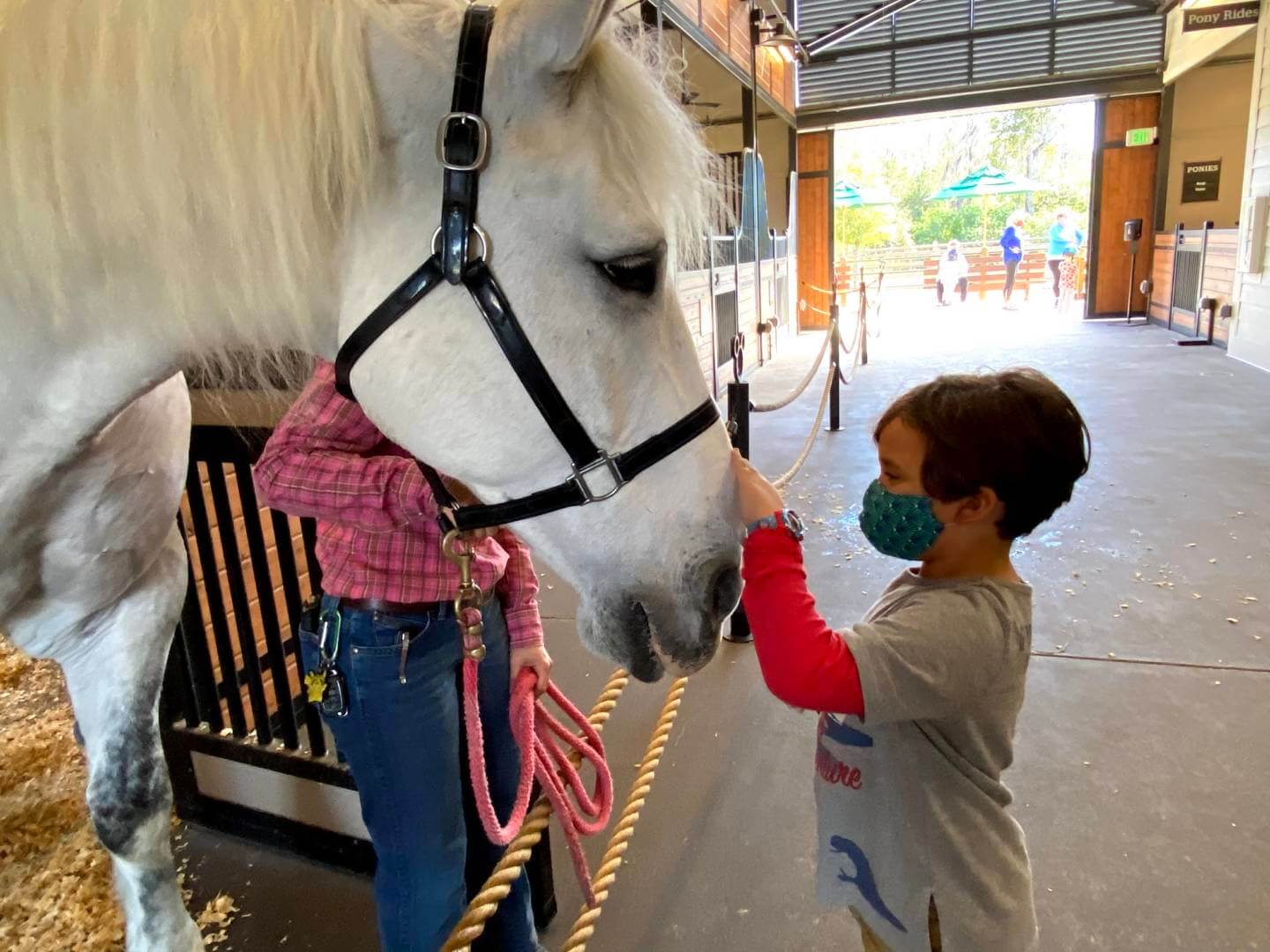 , Horsin&#8217; Around at Walt Disney World&#8217;s Tri-Circle-D Ranch