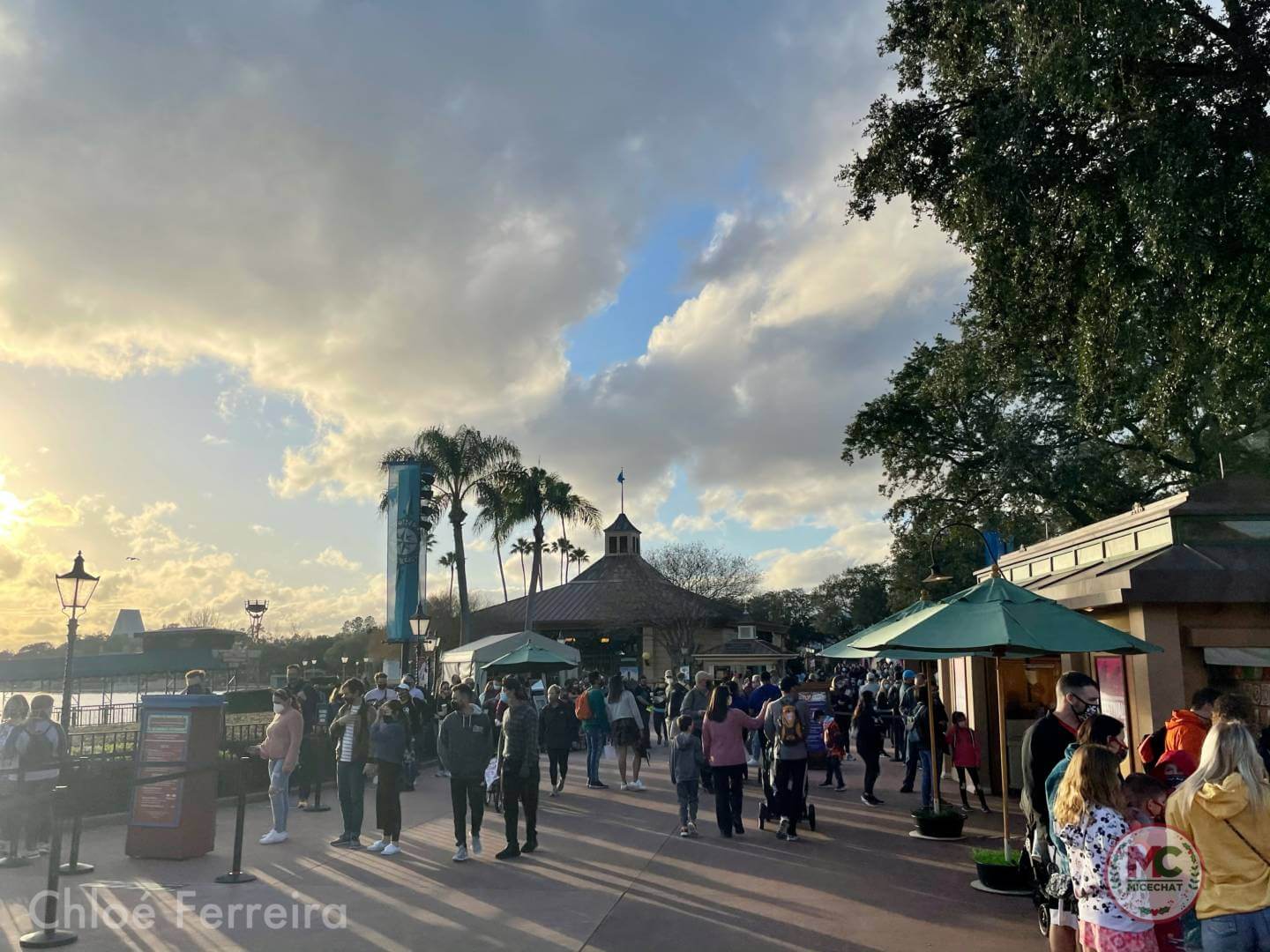 , Walt Disney World Update &#8211; Replacing Magic Bands &#038; Magic Express, Ratatouille Surprise, and News!