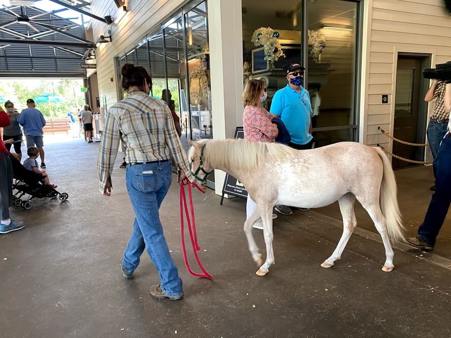 , Horsin’ Around at Walt Disney World’s Tri-Circle-D Ranch