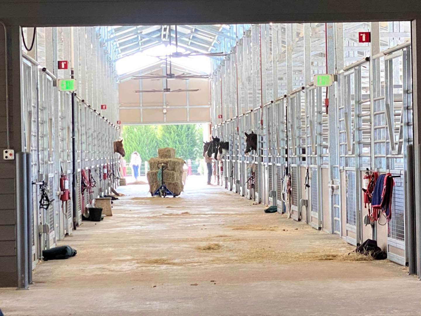 , Horsin’ Around at Walt Disney World’s Tri-Circle-D Ranch