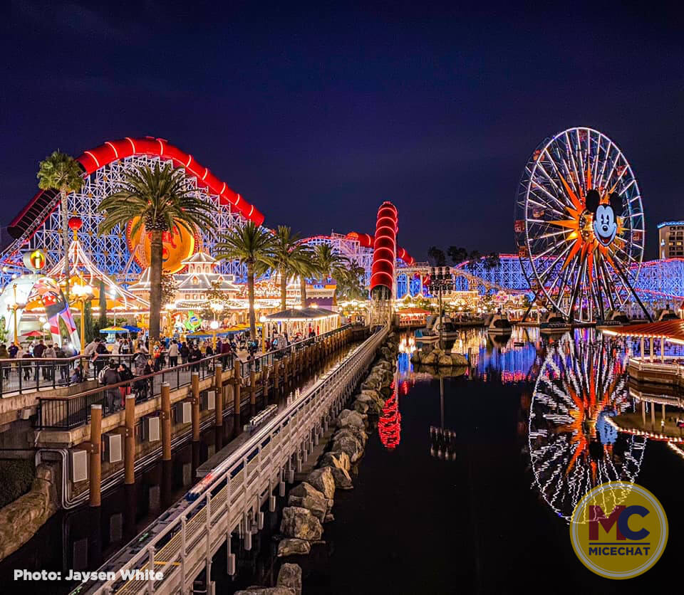 , Disneyland Update – Survey Says & Jungle News!