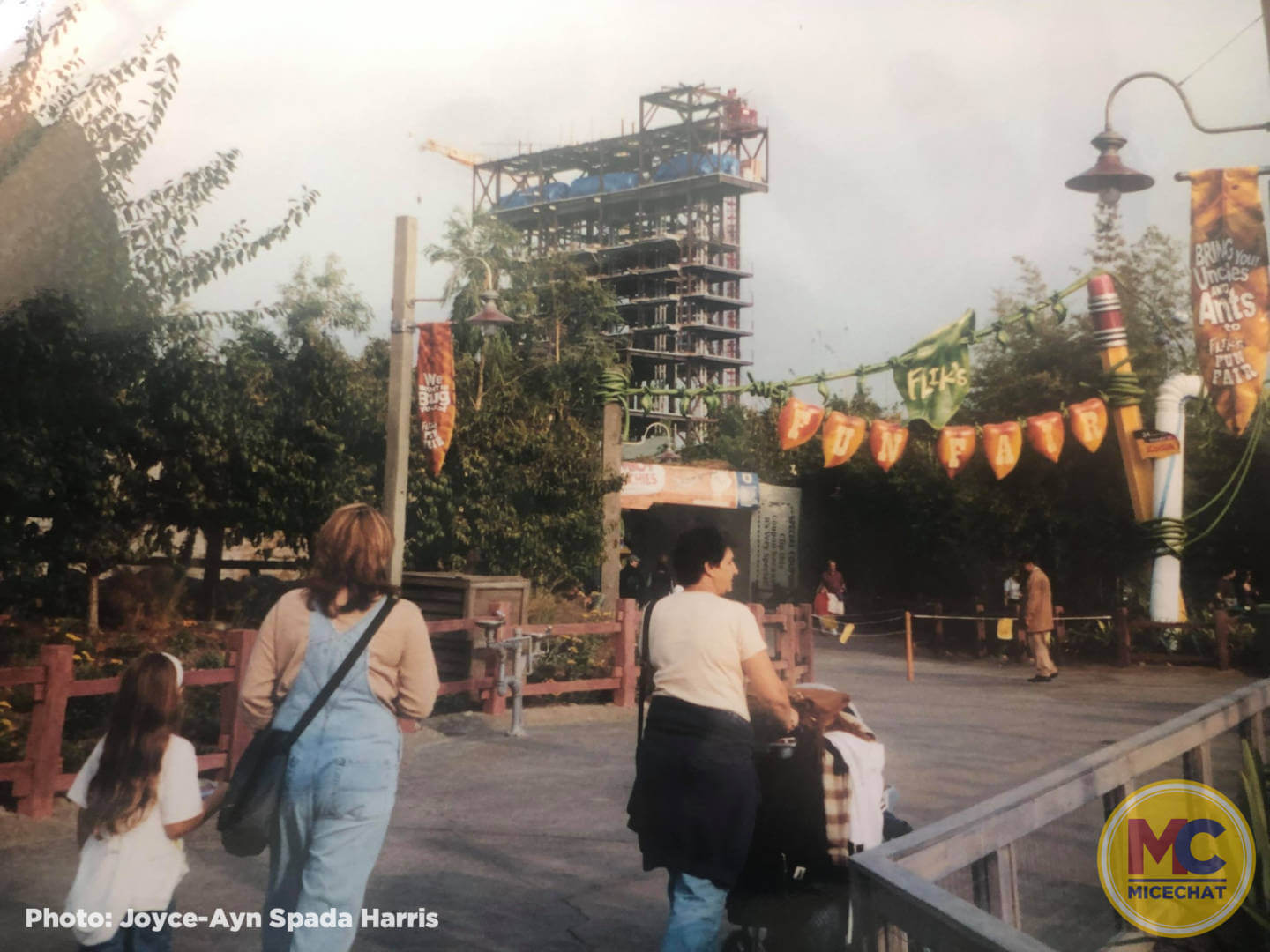, Disneyland Update – Survey Says & Jungle News!
