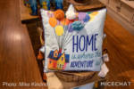 Disneyland-merchandise-update-january-2021-up-decorative-pillow