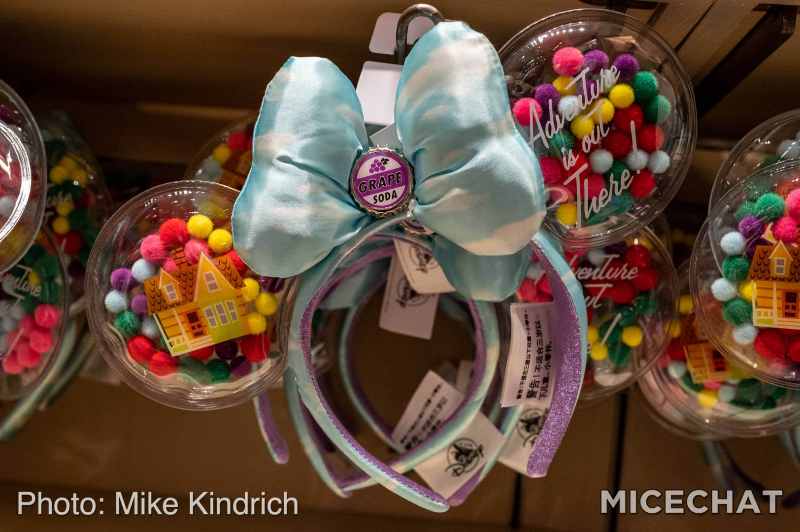 Disneyland Up Ear Headband