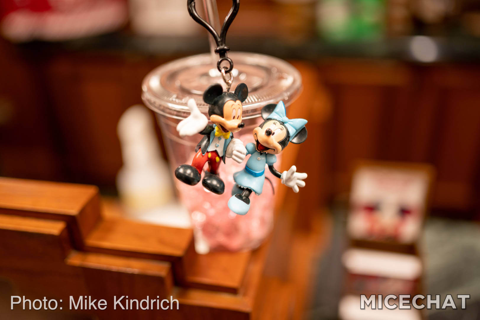 , Disneyland Merchandise Update: New Year New Gear