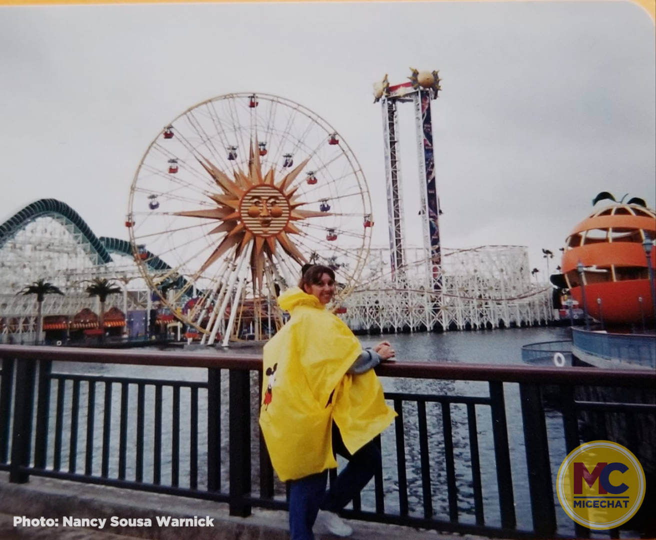 , Disneyland Update – Survey Says & Jungle News!