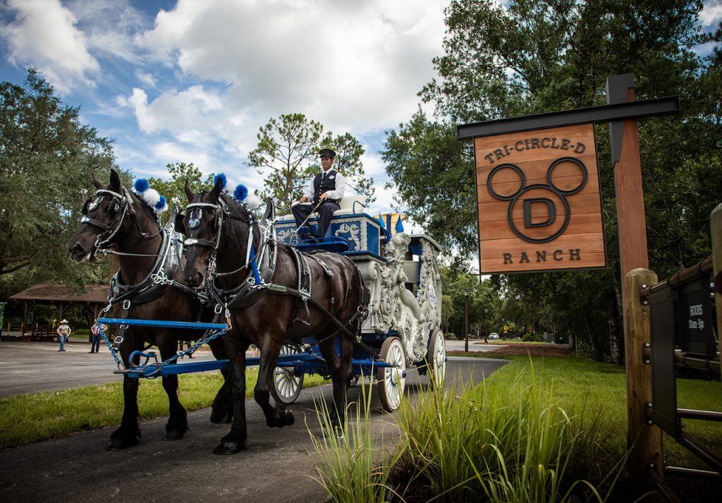 , Horsin’ Around at Walt Disney World’s Tri-Circle-D Ranch