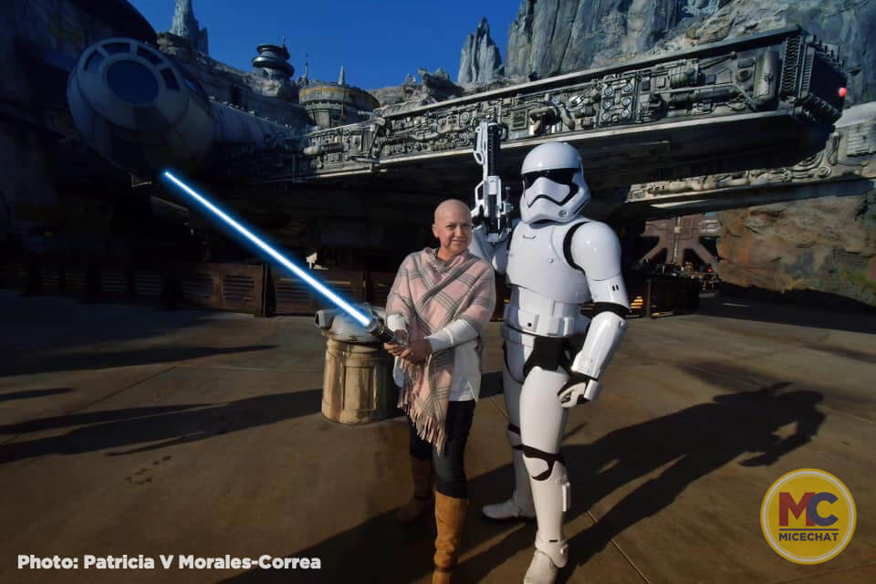 , Disneyland Update – All Good Things Must Come To An End