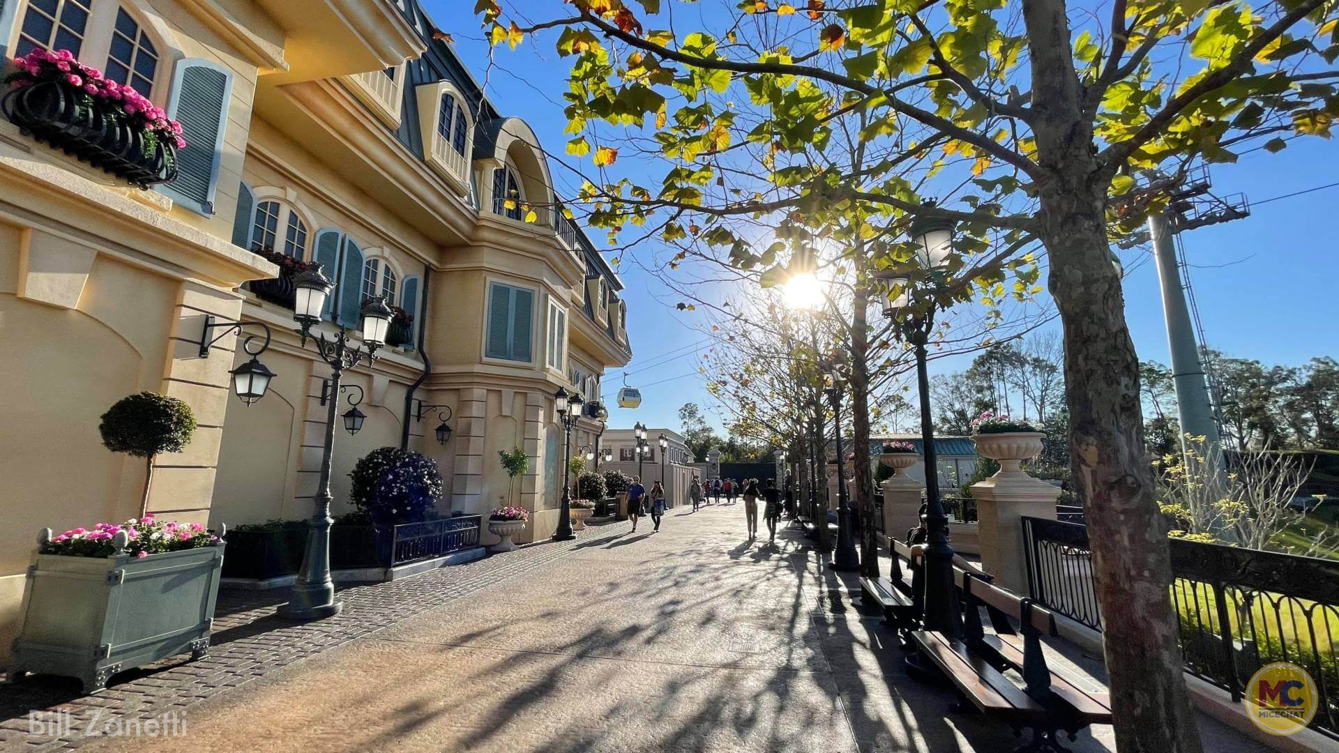 , Walt Disney World Update – Jungle Update, Blizzard Return, and Rat Watch!