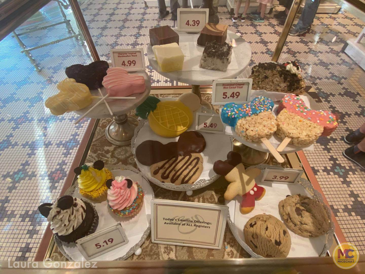 , Walt Disney World Update – Jungle Update, Blizzard Return, and Rat Watch!