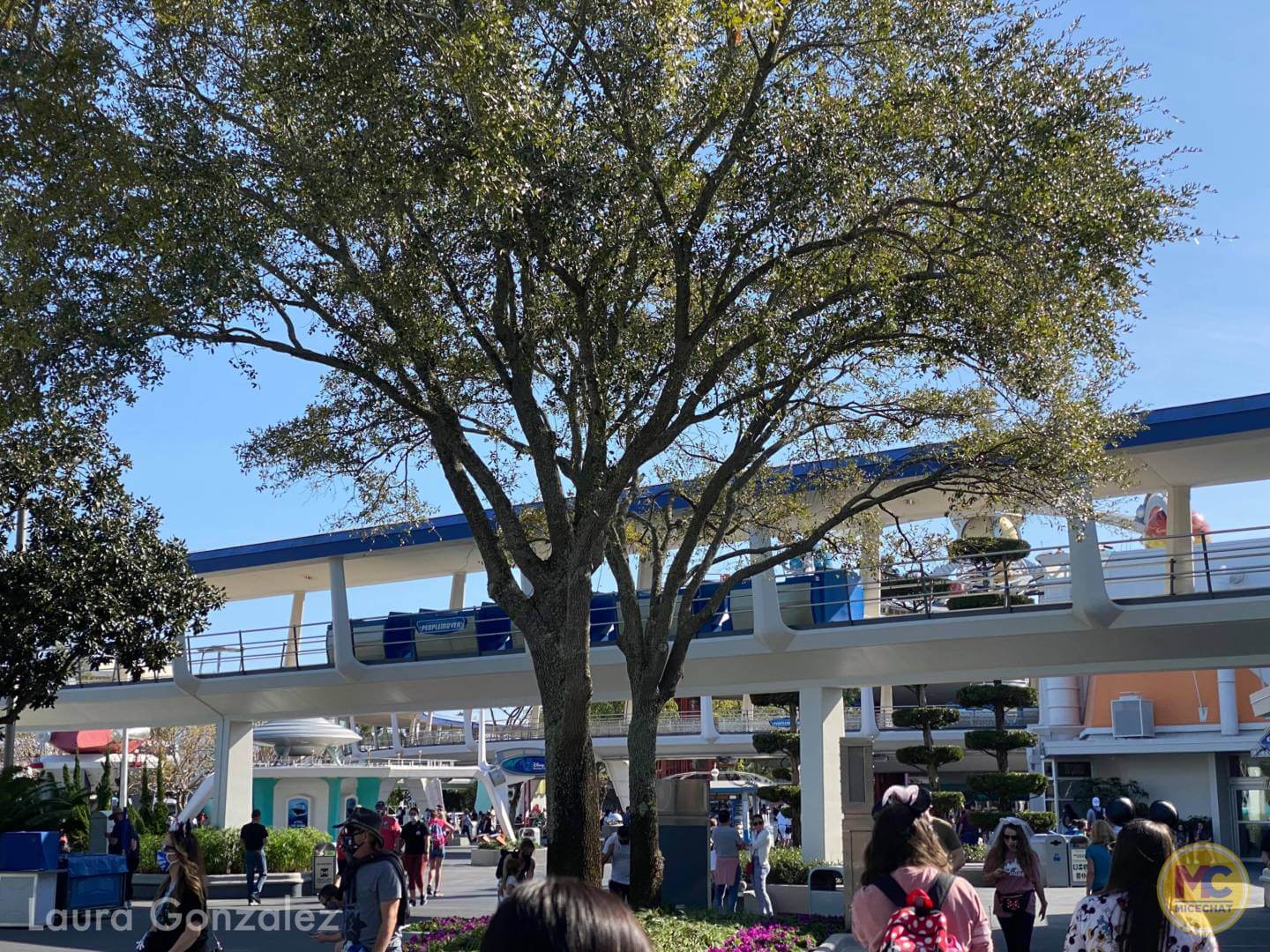 , Walt Disney World Update – Jungle Update, Blizzard Return, and Rat Watch!
