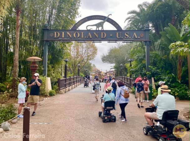 , Walt Disney World Update – Jungle Update, Blizzard Return, and Rat Watch!